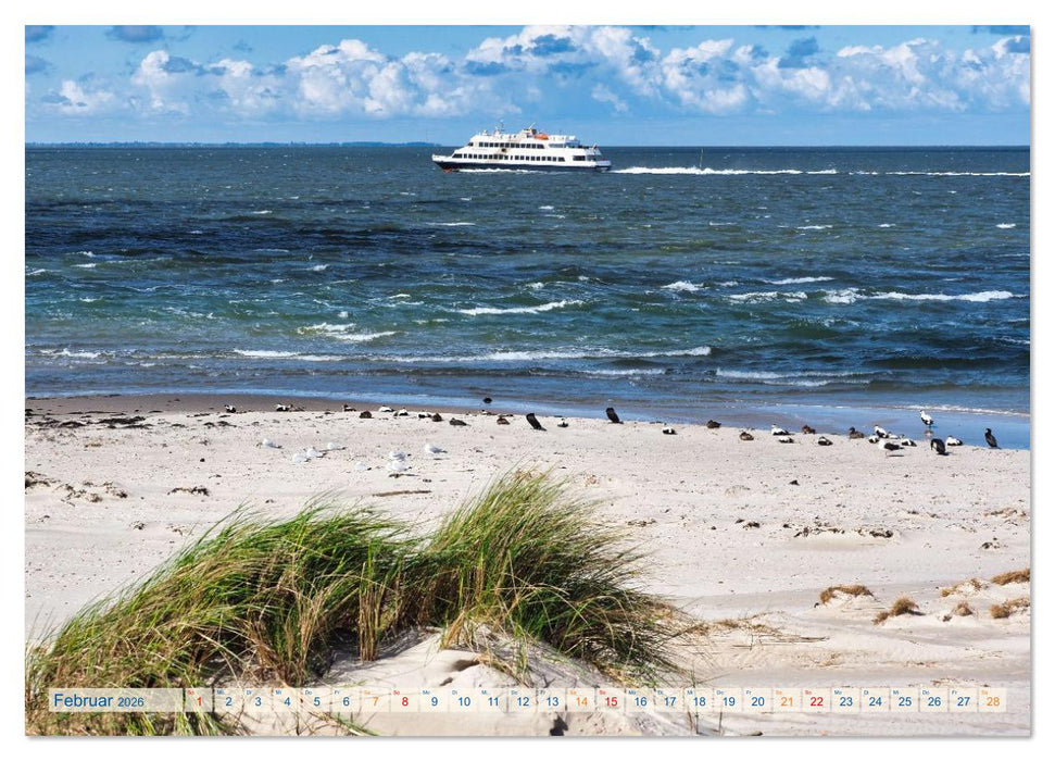 Amrum Glücksort (CALVENDO Premium Wandkalender 2026)