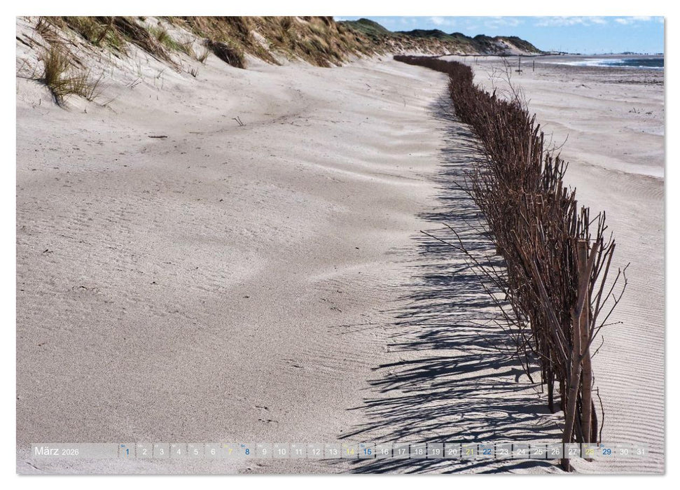Amrum Glücksort (CALVENDO Premium Wandkalender 2026)