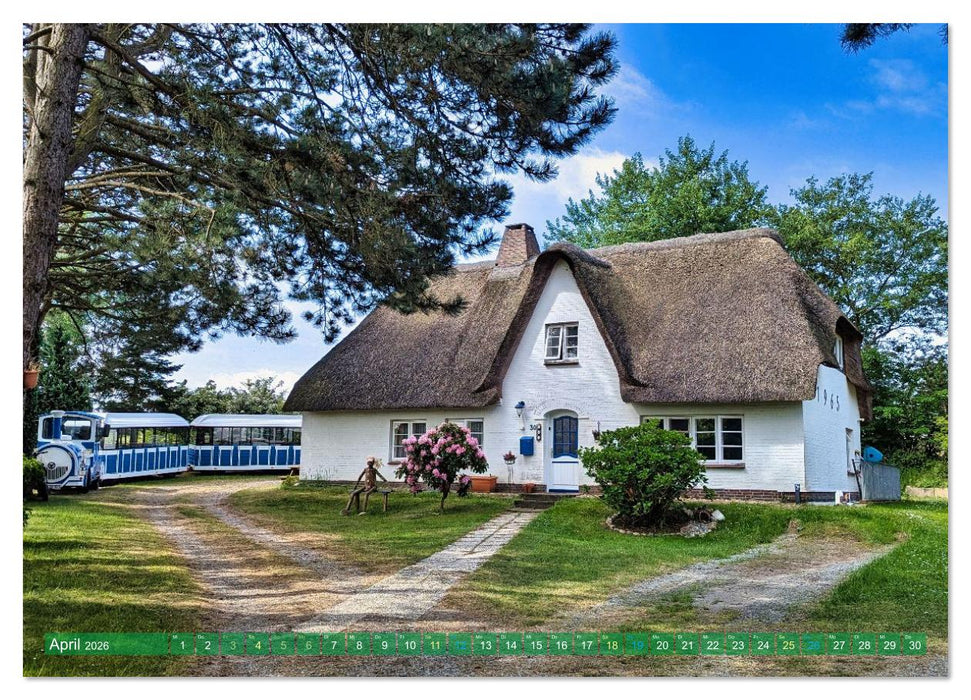 Amrum Glücksort (CALVENDO Premium Wandkalender 2026)