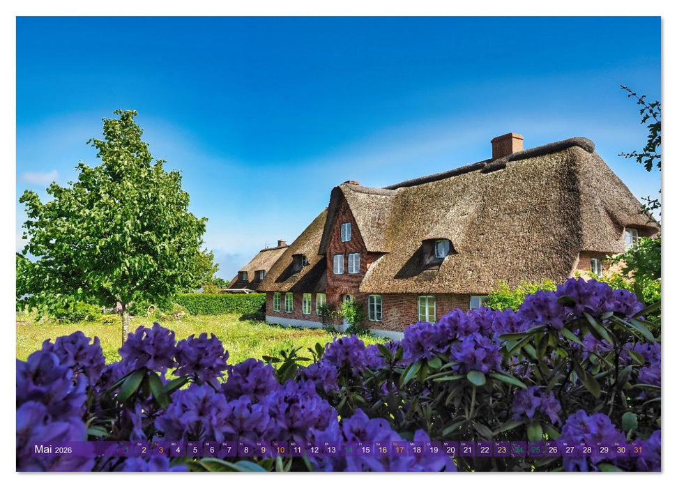 Amrum Glücksort (CALVENDO Premium Wandkalender 2026)