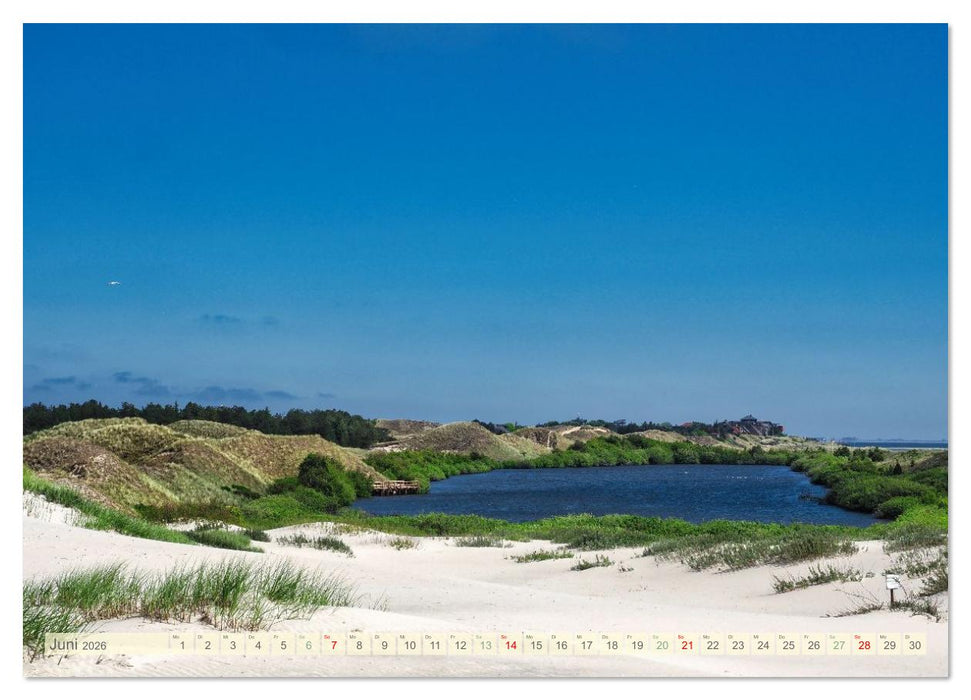 Amrum Glücksort (CALVENDO Premium Wandkalender 2026)