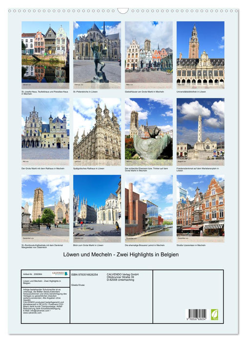 Löwen und Mecheln - Zwei Highlights in Belgien (CALVENDO Wandkalender 2026)