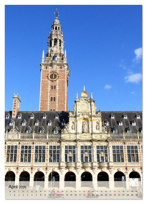 Löwen und Mecheln - Zwei Highlights in Belgien (CALVENDO Wandkalender 2026)