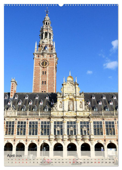 Löwen und Mecheln - Zwei Highlights in Belgien (CALVENDO Wandkalender 2026)