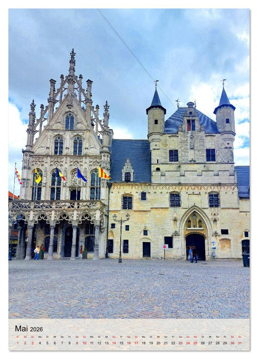 Löwen und Mecheln - Zwei Highlights in Belgien (CALVENDO Wandkalender 2026)