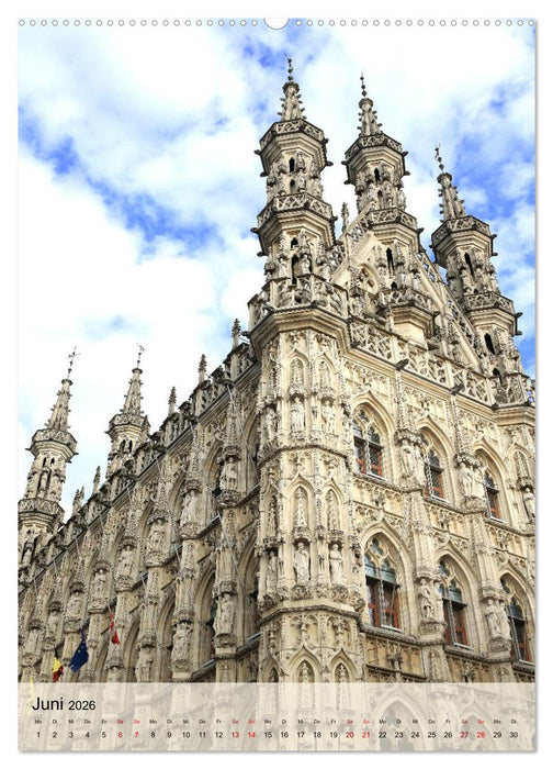 Löwen und Mecheln - Zwei Highlights in Belgien (CALVENDO Wandkalender 2026)