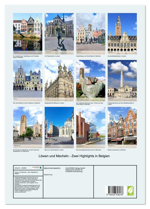 Löwen und Mecheln - Zwei Highlights in Belgien (CALVENDO Premium Wandkalender 2026)