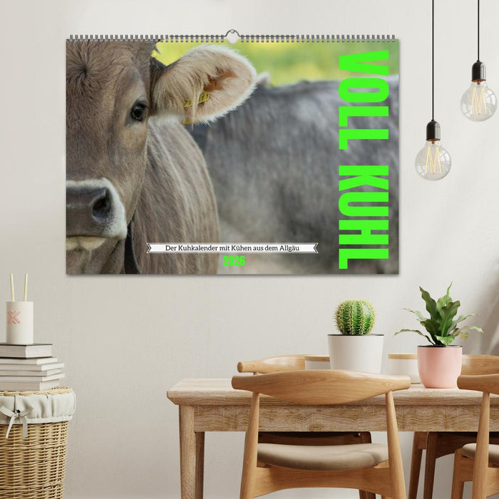 Voll kuhl - der Kuhkalender mit Kühen aus dem Allgäu (CALVENDO Wandkalender 2026)