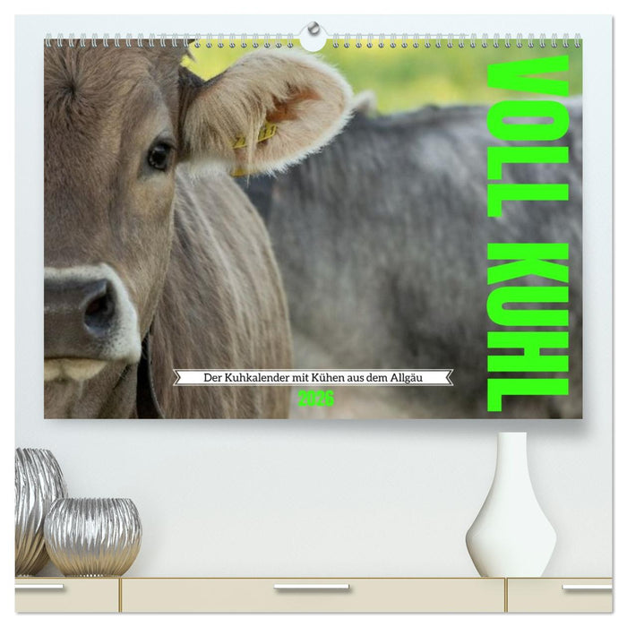 Voll kuhl - der Kuhkalender mit Kühen aus dem Allgäu (CALVENDO Premium Wandkalender 2026)