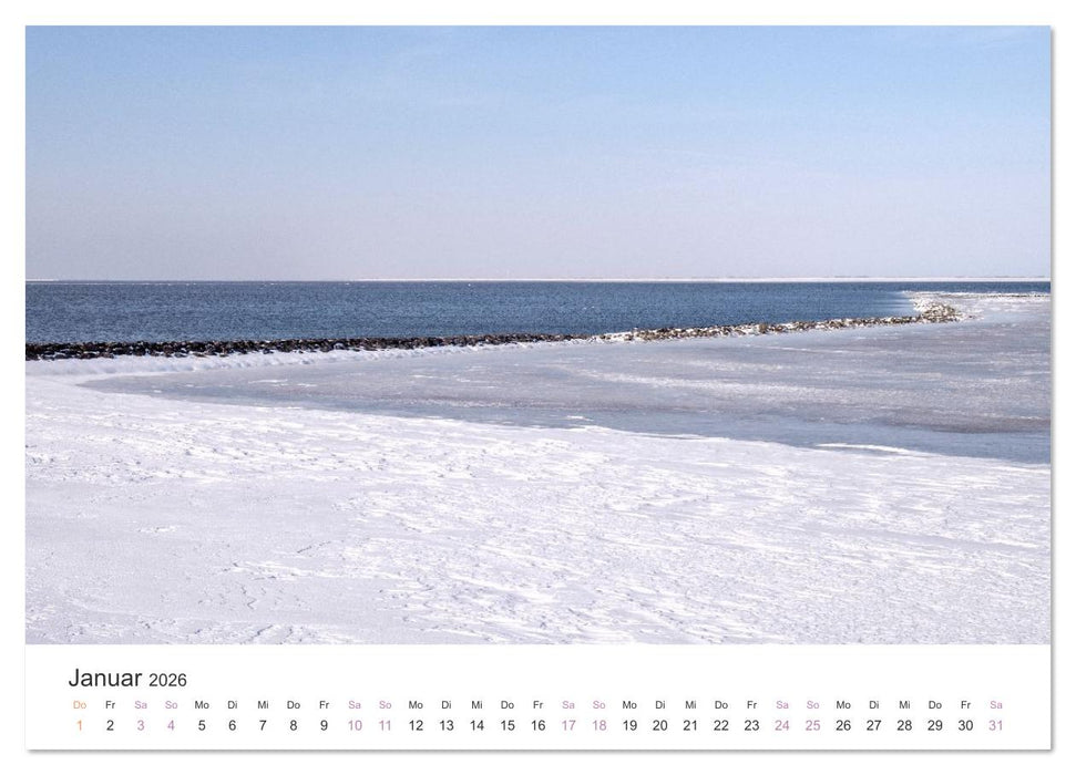 Hamburger Hallig - Der Weg ist das Ziel (CALVENDO Premium Wandkalender 2026)