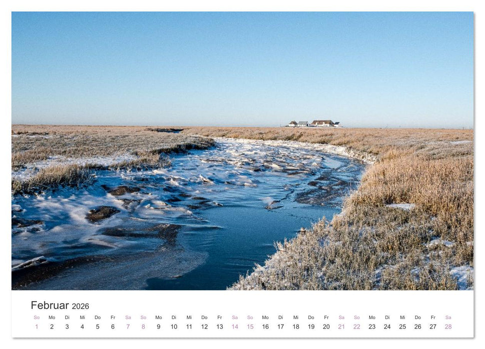 Hamburger Hallig - Der Weg ist das Ziel (CALVENDO Premium Wandkalender 2026)