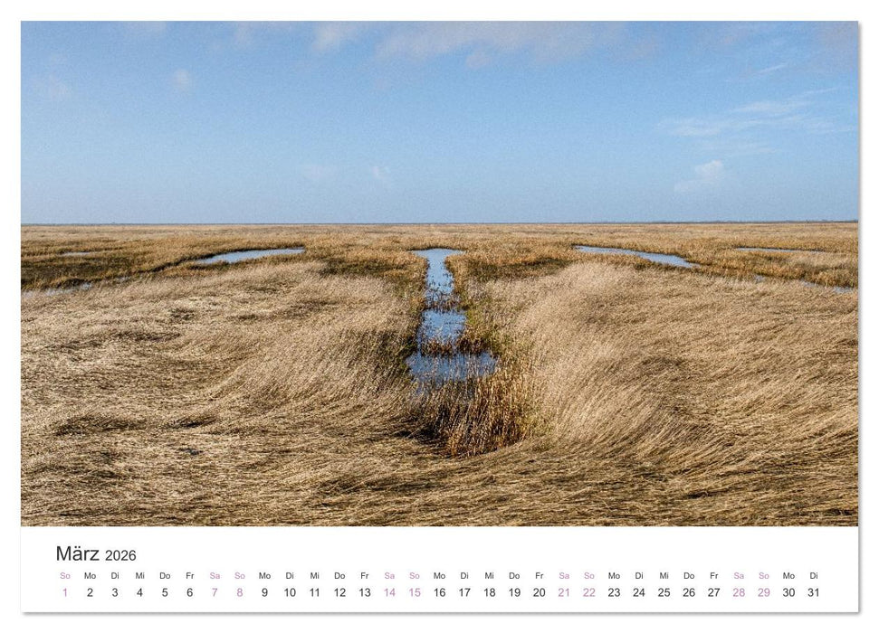 Hamburger Hallig - Der Weg ist das Ziel (CALVENDO Premium Wandkalender 2026)