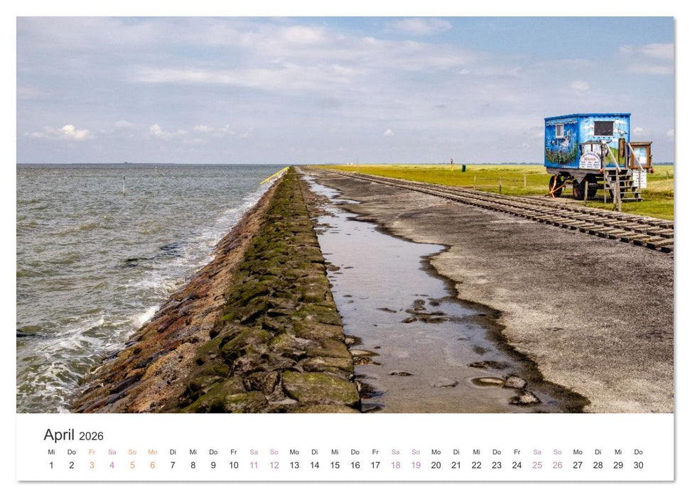 Hamburger Hallig - Der Weg ist das Ziel (CALVENDO Premium Wandkalender 2026)