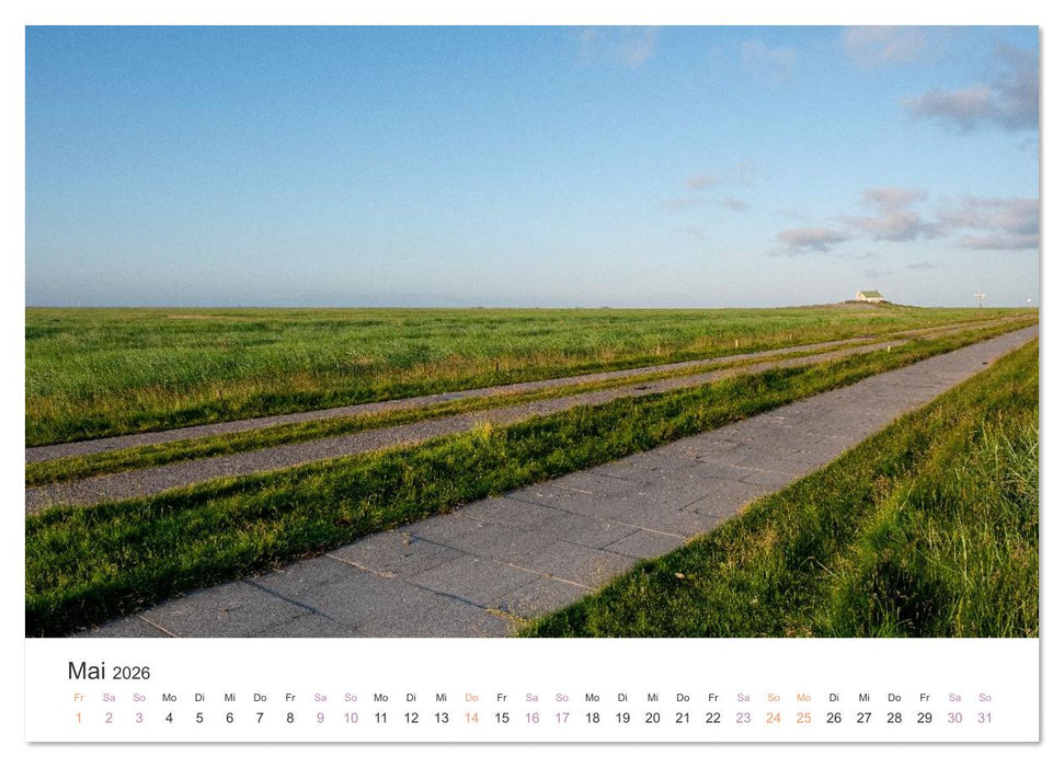 Hamburger Hallig - Der Weg ist das Ziel (CALVENDO Premium Wandkalender 2026)