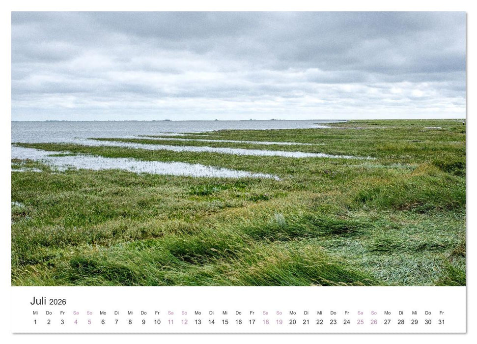 Hamburger Hallig - Der Weg ist das Ziel (CALVENDO Premium Wandkalender 2026)