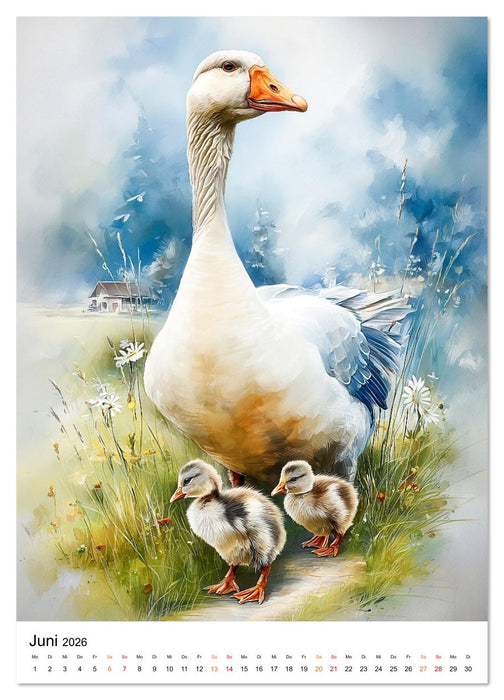 Bauernhof Tiere (CALVENDO Wandkalender 2026)