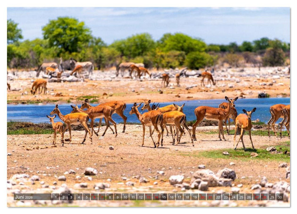 Namibia und Botswana - Entdeckungen in der Weite Afrikas (CALVENDO Wandkalender 2026)