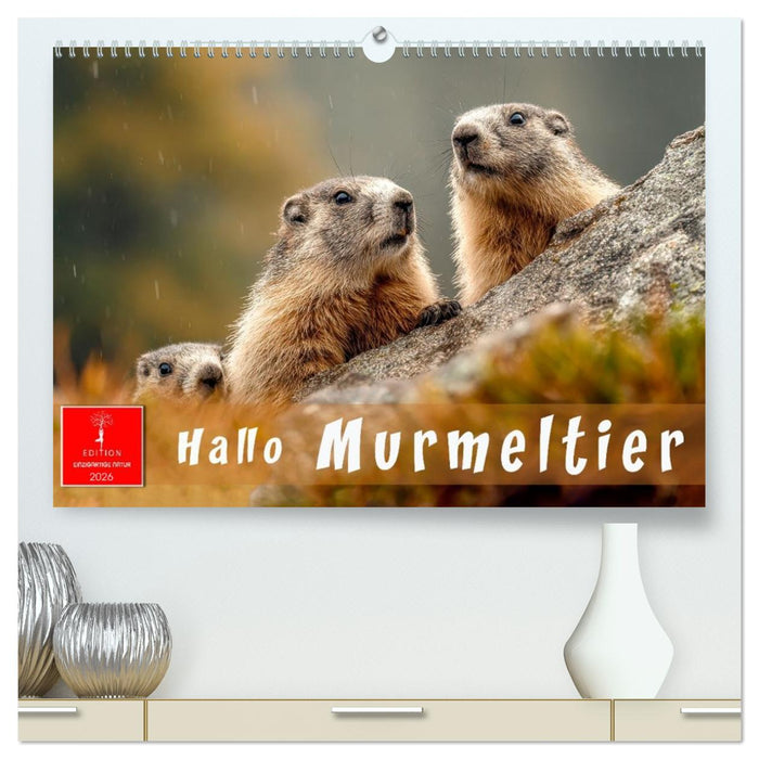 Hallo Murmeltier (CALVENDO Premium Wandkalender 2026)