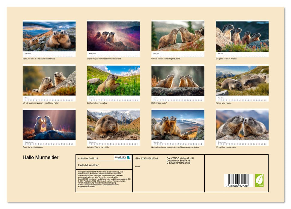 Hallo Murmeltier (CALVENDO Premium Wandkalender 2026)