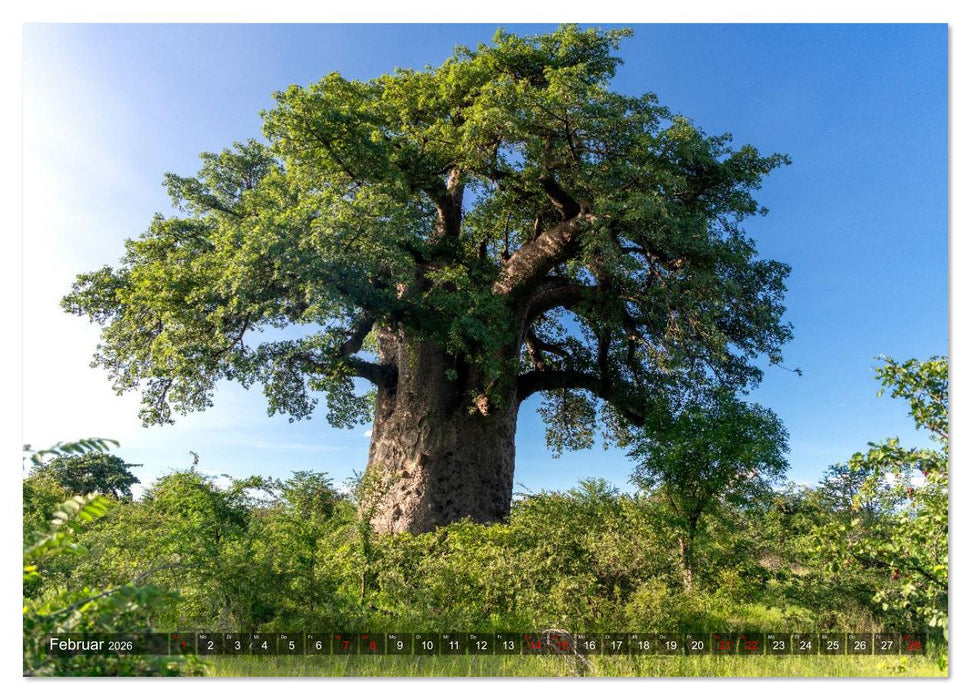 Namibia und Botswana - Entdeckungen in der Weite Afrikas (CALVENDO Premium Wandkalender 2026)