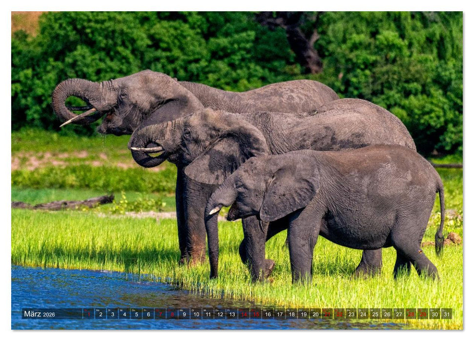 Namibia und Botswana - Entdeckungen in der Weite Afrikas (CALVENDO Premium Wandkalender 2026)