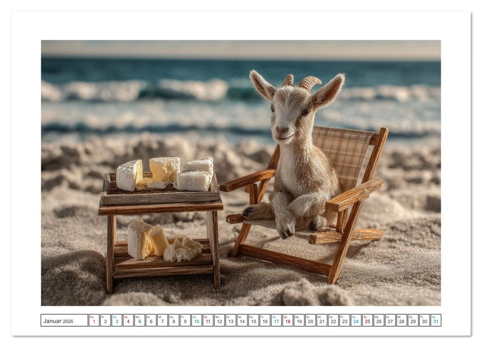 Strandgeflüster (CALVENDO Wandkalender 2026)