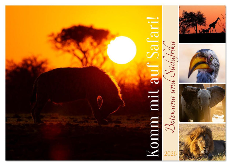 Komm mit auf Safari! Botswana und Südafrika (CALVENDO Wandkalender 2026)