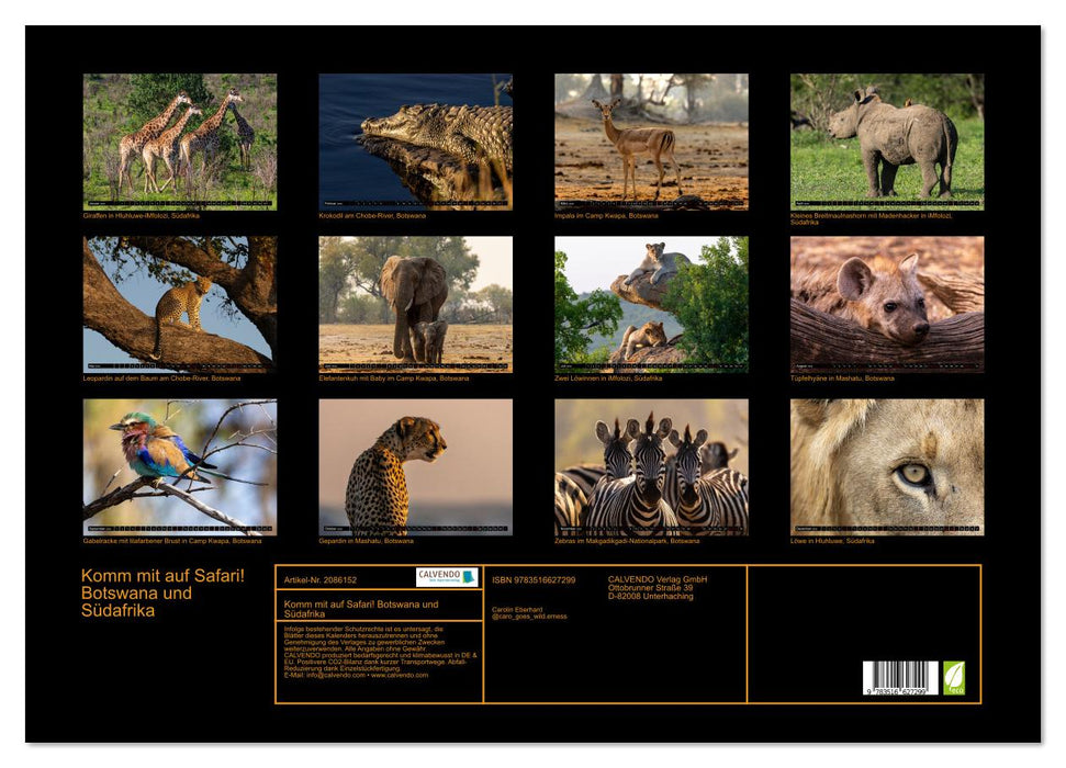 Komm mit auf Safari! Botswana und Südafrika (CALVENDO Wandkalender 2026)