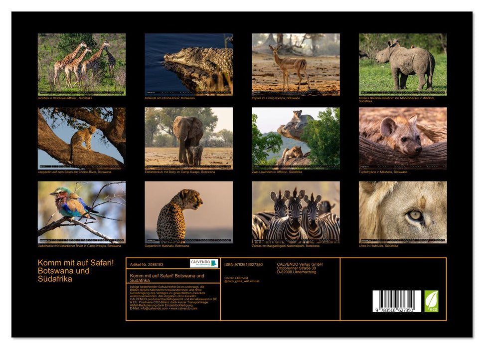 Komm mit auf Safari! Botswana und Südafrika (CALVENDO Premium Wandkalender 2026)