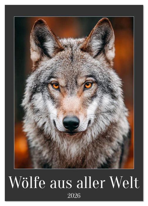 Wölfe aus aller Welt (CALVENDO Wandkalender 2026)