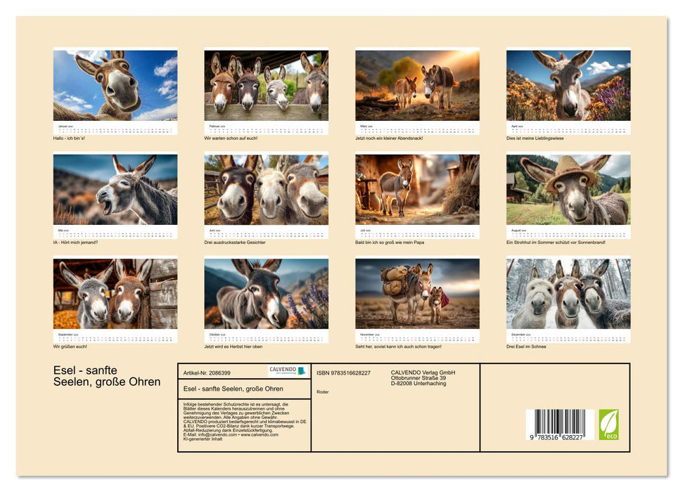 Esel - sanfte Seelen, große Ohren (CALVENDO Premium Wandkalender 2026)