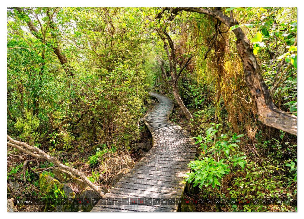Neuseeland - Entdeckungen am Ende der Welt (CALVENDO Premium Wandkalender 2026)
