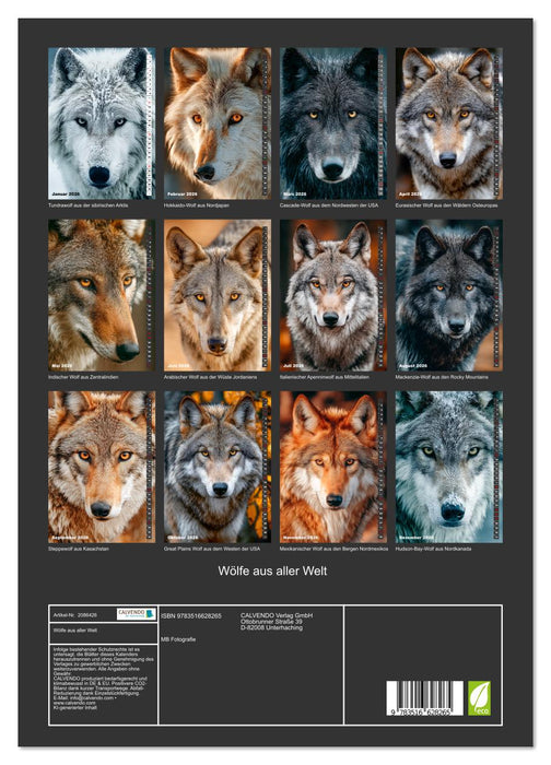 Wölfe aus aller Welt (CALVENDO Premium Wandkalender 2026)