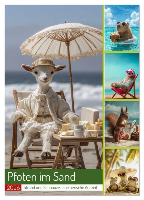 Pfoten im Sand (CALVENDO Wandkalender 2026)