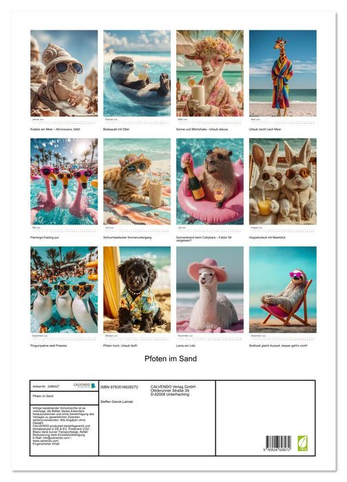 Pfoten im Sand (CALVENDO Wandkalender 2026)