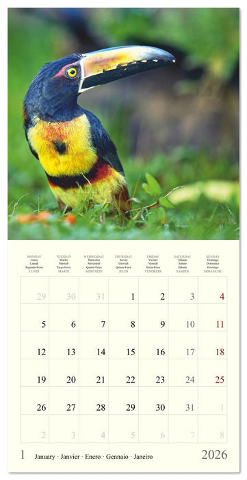 Royaume de nature Costa Rica (CALVENDO Calendrier mensuel 2026)