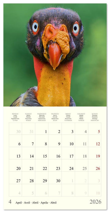 Royaume de nature Costa Rica (CALVENDO Calendrier mensuel 2026)