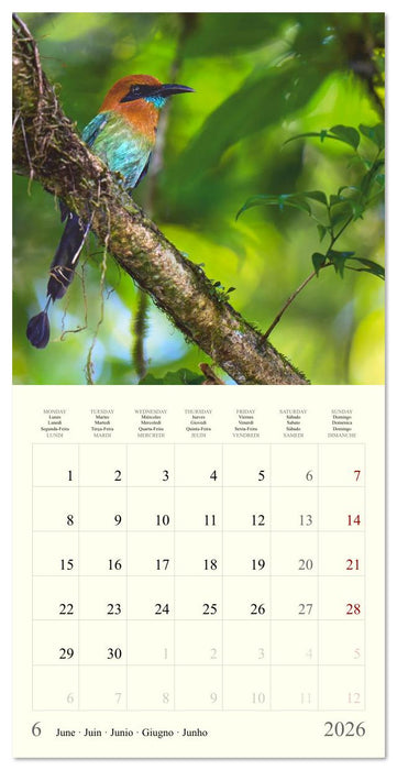 Royaume de nature Costa Rica (CALVENDO Calendrier mensuel 2026)
