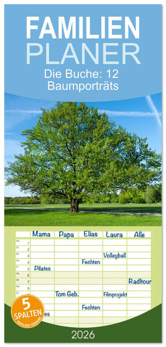 Die Buche: 12 Baumporträts (CALVENDO Familienplaner 2026)