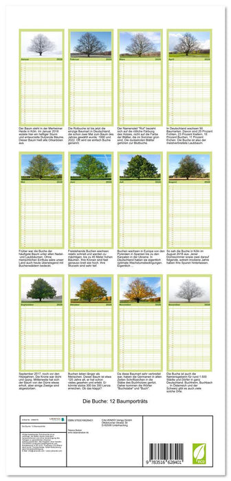 Die Buche: 12 Baumporträts (CALVENDO Familienplaner 2026)