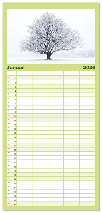 Die Buche: 12 Baumporträts (CALVENDO Familienplaner 2026)