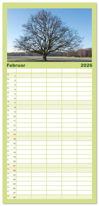 Die Buche: 12 Baumporträts (CALVENDO Familienplaner 2026)