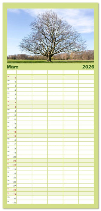 Die Buche: 12 Baumporträts (CALVENDO Familienplaner 2026)