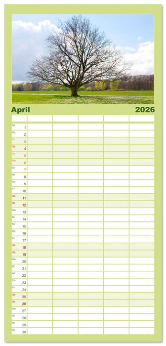 Die Buche: 12 Baumporträts (CALVENDO Familienplaner 2026)