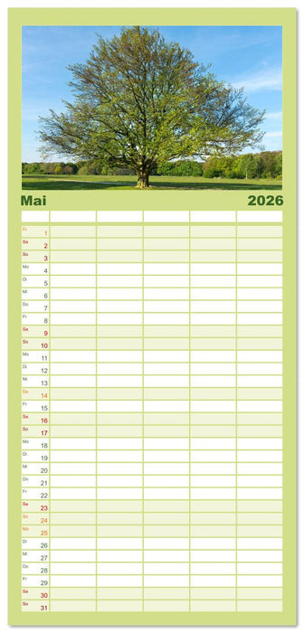 Die Buche: 12 Baumporträts (CALVENDO Familienplaner 2026)