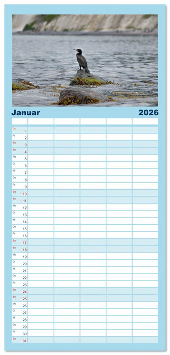 Rügen Träume (CALVENDO Familienplaner 2026)