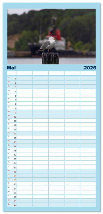 Rügen Träume (CALVENDO Familienplaner 2026)