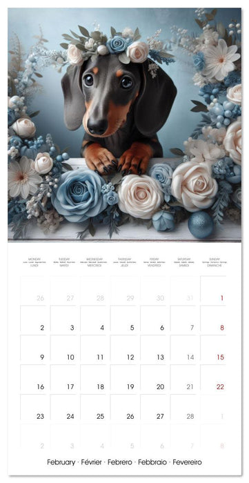 Dachshund Joy and Flower Beauty (CALVENDO Monthly Calendar 2026)