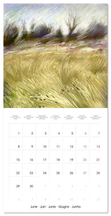 Impressions of the year (CALVENDO Monthly Calendar 2026)