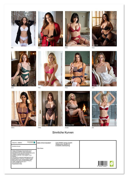 Sinnliche Kurven (CALVENDO Wandkalender 2026)